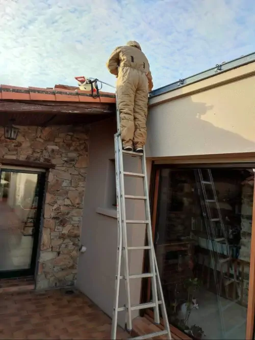 Technicien sur une échelle traitant un nid de frelons sous une avancée de toiture